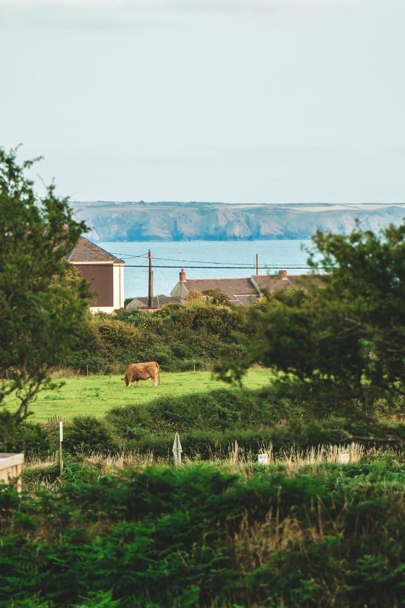 Trevena Cross Glamping & Camping Helston Esterno foto