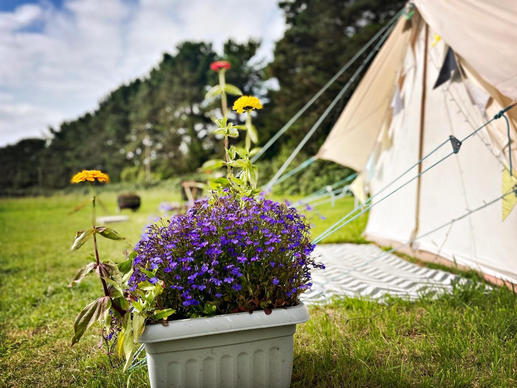 Trevena Cross Glamping & Camping Helston Esterno foto